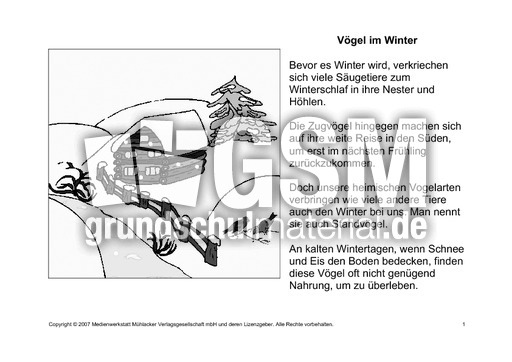 Fehlerlesen-Vögel-im-Winter-Lesetext-1.pdf